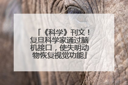 《科学》刊文！复旦科学家通过脑机接口，使失明动物恢复视觉功能