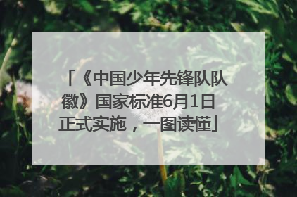 《中国少年先锋队队徽》国家标准6月1日正式实施，一图读懂