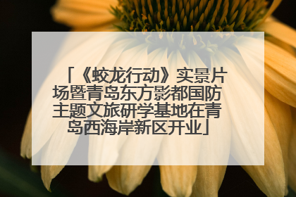 《蛟龙行动》实景片场暨青岛东方影都国防主题文旅研学基地在青岛西海岸新区开业