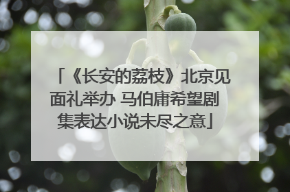 《长安的荔枝》北京见面礼举办 马伯庸希望剧集表达小说未尽之意