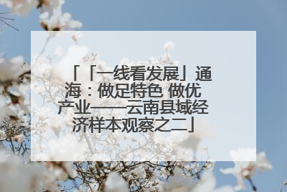 「一线看发展」通海：做足特色 做优产业——云南县域经济样本观察之二