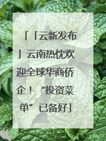 「云新发布」云南热忱欢迎全球华商侨企！“投资菜单”已备好