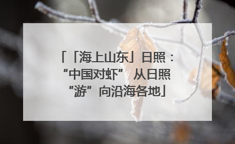 「海上山东」日照：“中国对虾” 从日照“游”向沿海各地