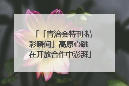 「青洽会特刊·精彩瞬间」高原心跳 在开放合作中澎湃