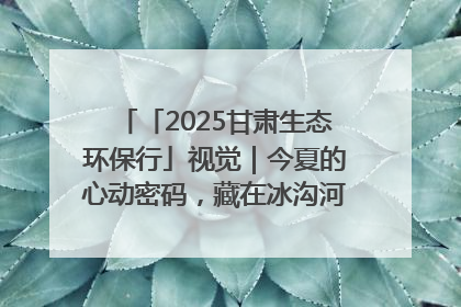 「2025甘肃生态环保行」视觉｜今夏的心动密码，藏在冰沟河的潋滟波光里