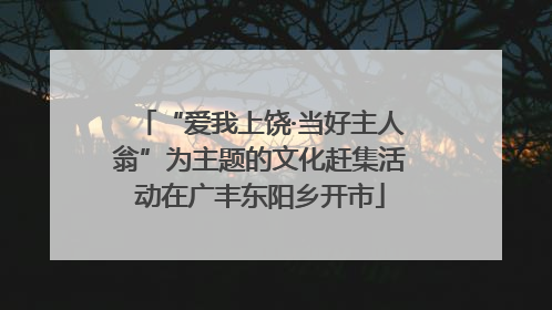 “爱我上饶·当好主人翁”为主题的文化赶集活动在广丰东阳乡开市