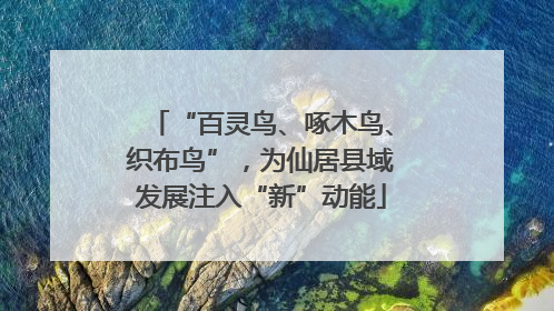 “百灵鸟、啄木鸟、织布鸟”，为仙居县域发展注入“新”动能