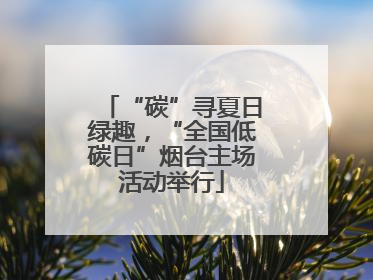 “碳”寻夏日绿趣，“全国低碳日”烟台主场活动举行