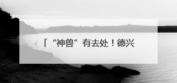 “神兽”有去处！德兴工会暑期托管班开班啦