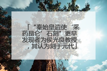 “秦始皇遣使‘采药昆仑’石刻”更早发现者为侯光良教授，其认为刻于元代