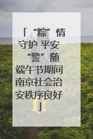 “粽”情守护 平安“警”随 端午节期间南京社会治安秩序良好
