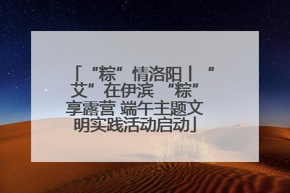 “粽”情洛阳丨“艾”在伊滨 “粽”享露营 端午主题文明实践活动启动
