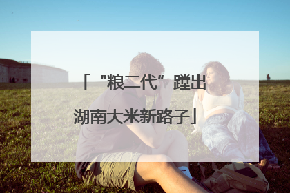“粮二代”蹚出湖南大米新路子