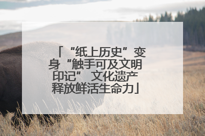 “纸上历史”变身“触手可及文明印记” 文化遗产释放鲜活生命力