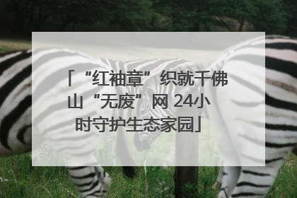 “红袖章”织就千佛山“无废”网 24小时守护生态家园