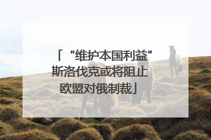 “维护本国利益” 斯洛伐克或将阻止欧盟对俄制裁