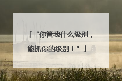 “你管我什么级别，能抓你的级别！”