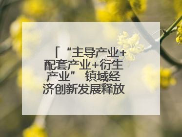 “主导产业+配套产业+衍生产业” 镇域经济创新发展释放强劲发展动能
