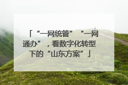 “一网统管”“一网通办”，看数字化转型下的“山东方案”