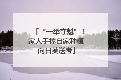 “一举夺魁”！家人手捧自家种植向日葵送考