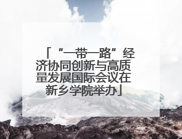 “一带一路”经济协同创新与高质量发展国际会议在新乡学院举办
