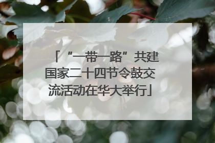 “一带一路”共建国家二十四节令鼓交流活动在华大举行