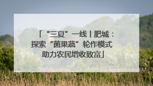 “三夏”一线丨肥城：探索“菌果蔬”轮作模式 助力农民增收致富