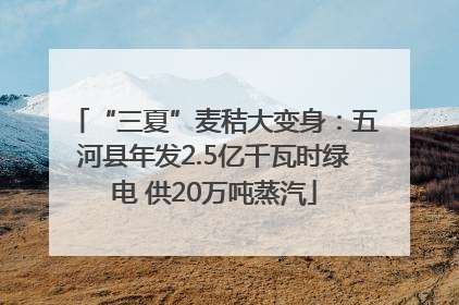 “三夏”麦秸大变身：五河县年发2.5亿千瓦时绿电 供20万吨蒸汽