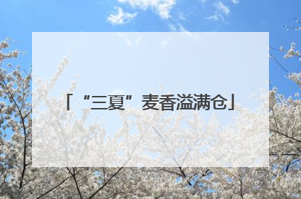 “三夏”麦香溢满仓