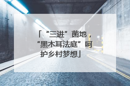 “三进”菌地，“黑木耳法庭”呵护乡村梦想