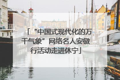 “中国式现代化的万千气象”网络名人安徽行活动走进休宁
