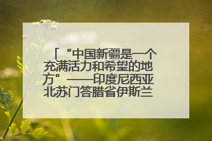 “中国新疆是一个充满活力和希望的地方”——印度尼西亚北苏门答腊省伊斯兰教代表团参访新疆