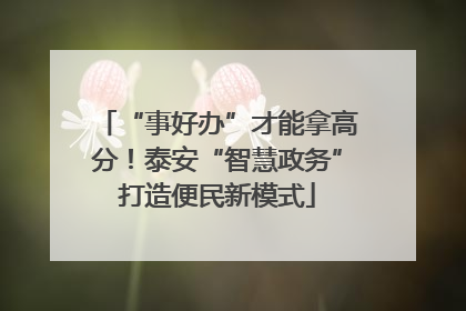 “事好办”才能拿高分！泰安“智慧政务”打造便民新模式