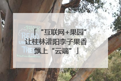 “互联网+果园”让桂林灌阳李子果香飘上“云端”
