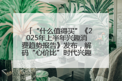 “什么值得买”《2025年上半年兴趣消费趋势报告》发布，解码“心价比”时代兴趣消费新范式