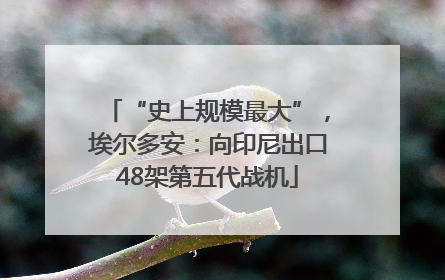 “史上规模最大”，埃尔多安：向印尼出口48架第五代战机