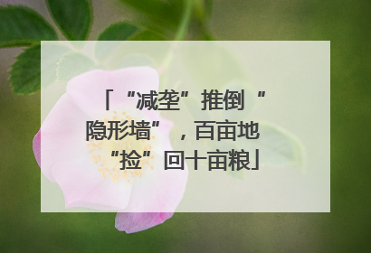 “减垄”推倒“隐形墙”，百亩地“捡”回十亩粮