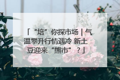 “培”你探市场｜气温攀升行情遇冷 新土豆迎来“熊市”？