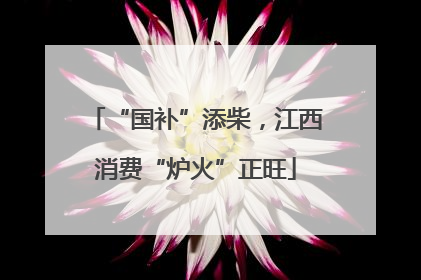 “国补”添柴，江西消费“炉火”正旺