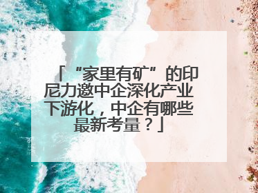 “家里有矿”的印尼力邀中企深化产业下游化，中企有哪些最新考量？
