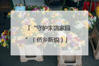 “守护朱鹮家园”（侨乡新貌）
