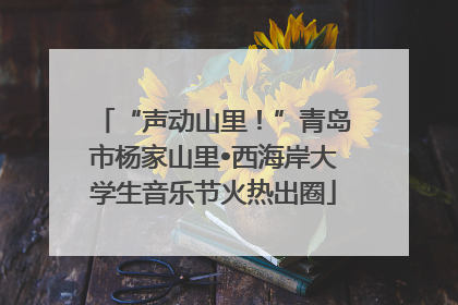 “声动山里！”青岛市杨家山里•西海岸大学生音乐节火热出圈