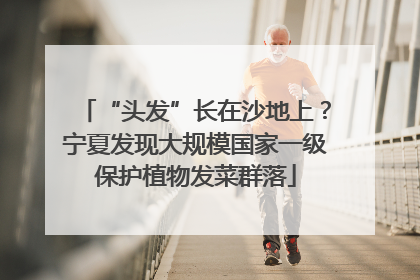 “头发”长在沙地上？宁夏发现大规模国家一级保护植物发菜群落