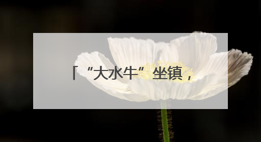 “大水牛”坐镇，小撬棍随身！长沙城区防办工作人员“人车等雨”严阵以待