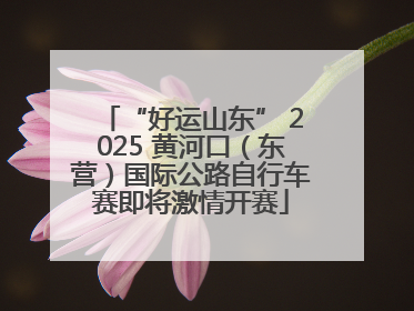 “好运山东” 2025 黄河口（东营）国际公路自行车赛即将激情开赛