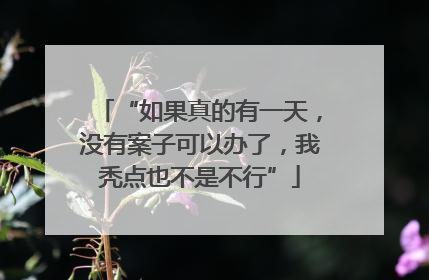 “如果真的有一天，没有案子可以办了，我秃点也不是不行”