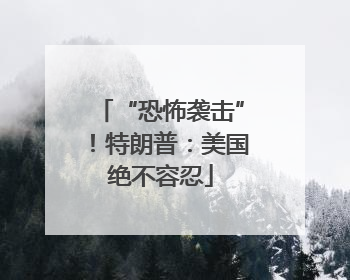 “恐怖袭击”！特朗普：美国绝不容忍
