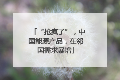 “抢疯了”，中国能源产品，在邻国需求暴增