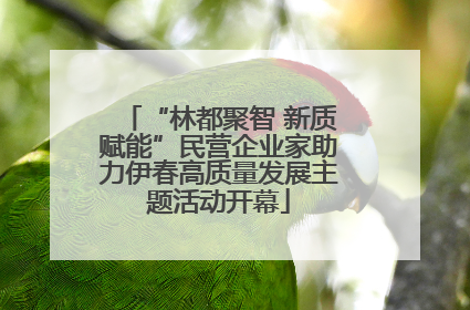 “林都聚智 新质赋能”民营企业家助力伊春高质量发展主题活动开幕