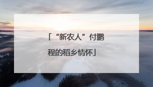 “新农人”付鹏程的稻乡情怀
